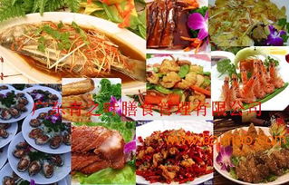 青之葉膳食 實力鑄就卓越，專業承包惠州學校食堂的優質選擇